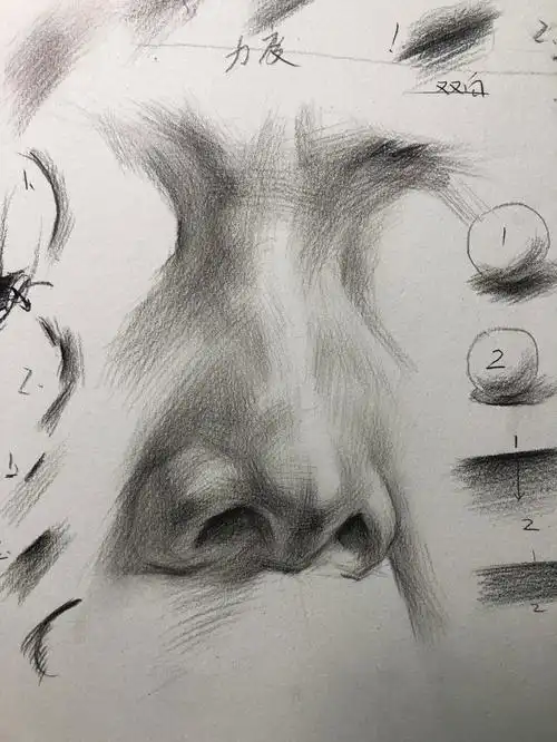 素描鼻子局部塑造
