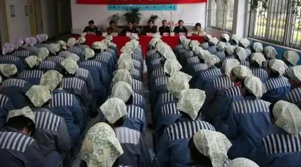 "请问一下我国哪些地区的哪些监狱伙食和待遇最好,想提前了解一下,免