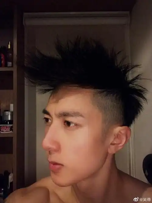 吴尊裸上身梳鸡冠头自拍做个朋克爸爸如何