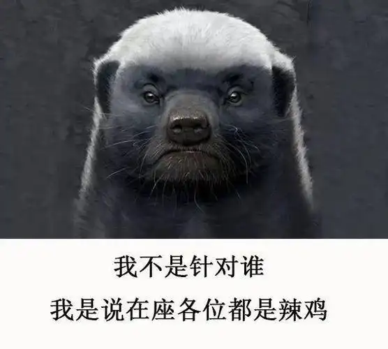 世界上最无所畏惧的动物平头哥(世界上最无所畏惧的动物被称为平头哥