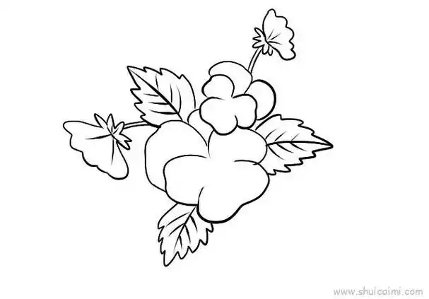 三色堇儿童画怎么画 三色堇简笔画顺序