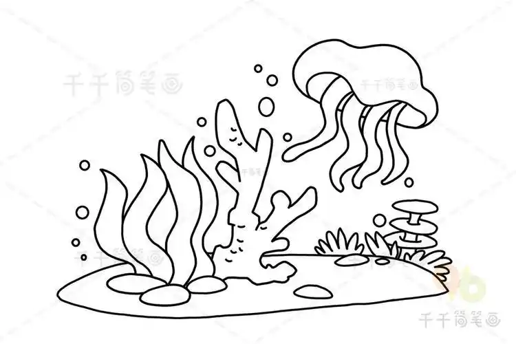 海草珊瑚简笔画教程