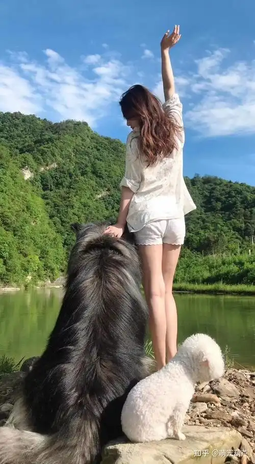 你有你家宠物和它的好朋友的合照吗