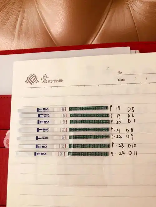 试管移植第十一天保持好心情