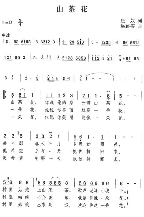 山茶花 歌谱 简谱