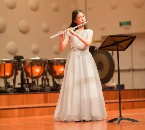 重奏以及管乐合奏等多种精彩演出形式!