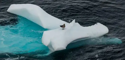 南极行之五 宏伟壮丽的冰山