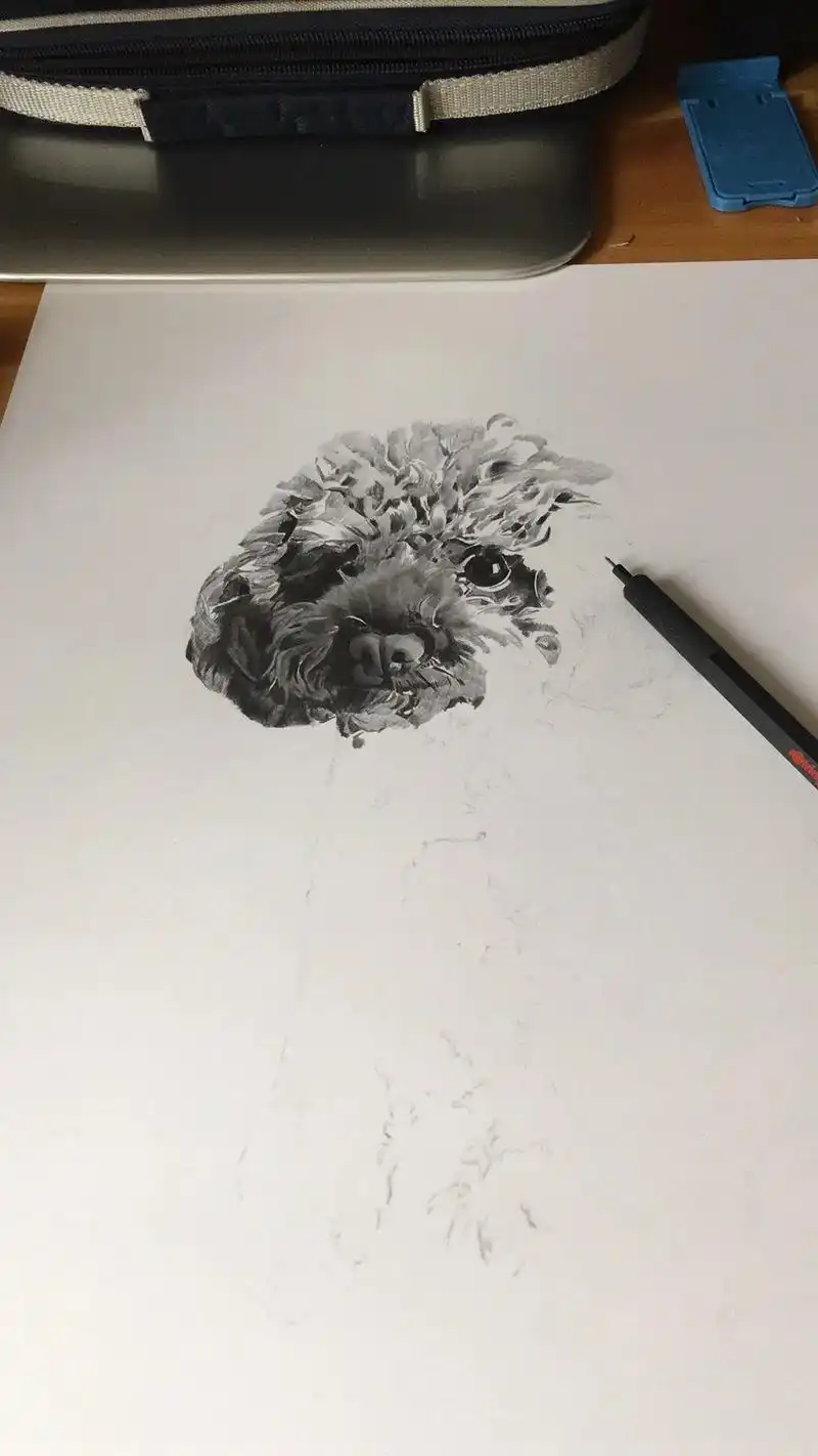 小泰迪.#素描 #画画 - 抖音