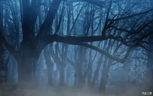 在最深的绝望里,遇见最美丽的风景.