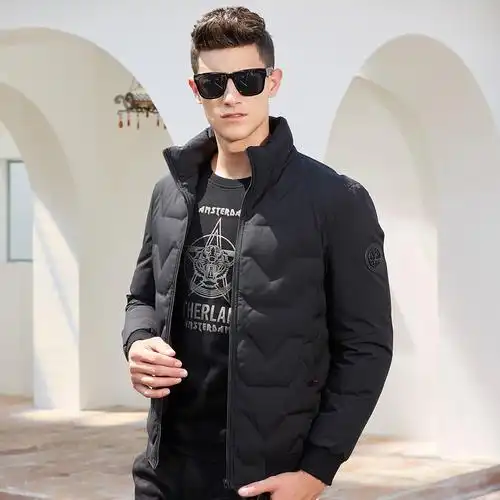 杰尼威尼 2018新款净色立领短款时尚商务休闲白鸭绒男士羽绒服