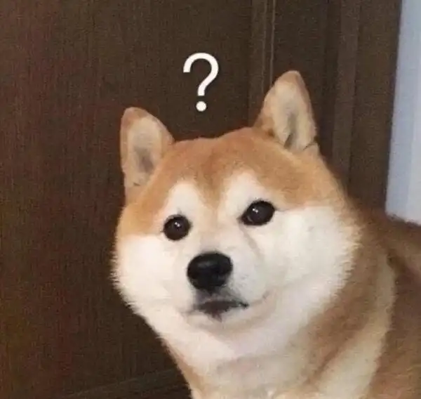 山东一动物园内狗子躺在虎园里休息,老虎的举动亮了