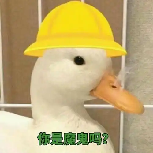 七夕送礼物指南:送女朋友什么礼物才不会被骂直男呢?