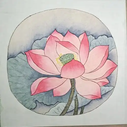 工笔荷花