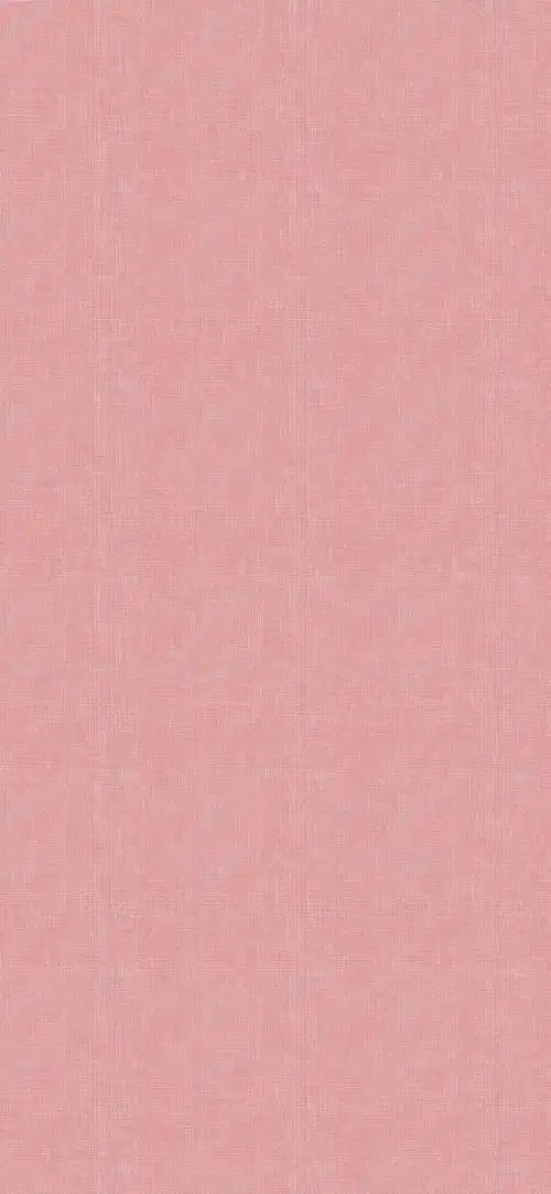 纯色背景图干净又美好