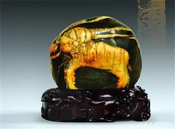 奇石审美应该是强调共性还是个性?应求同存异在共性中表现出个性