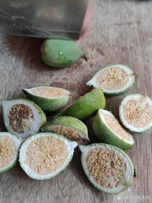 农村到处可见的凉粉果,你知道它的制作方法吗?