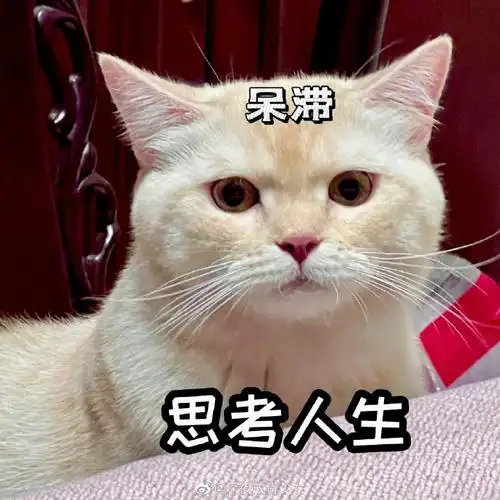 撕漫男#bjt#白敬亭顾九思#白敬亭路透|白敬亭表情包卷919996