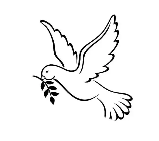 和平鸽简笔画9张