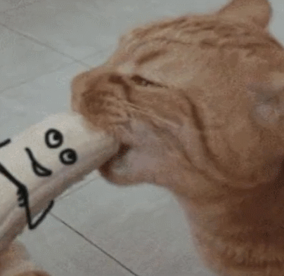 喵咪吃香蕉连啃带嚼,小人脸香蕉的表情太逗了!