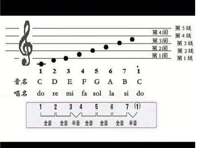 认识五线谱音半音和全音
