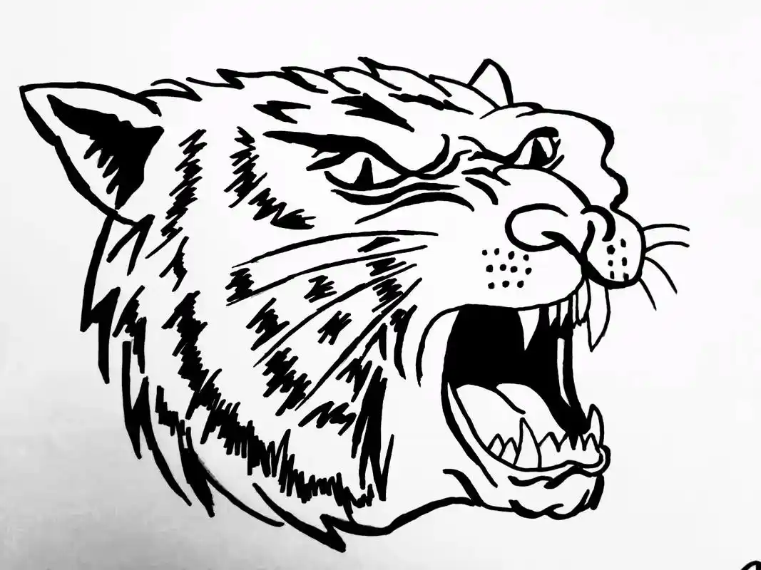 黑白线描画合集动物