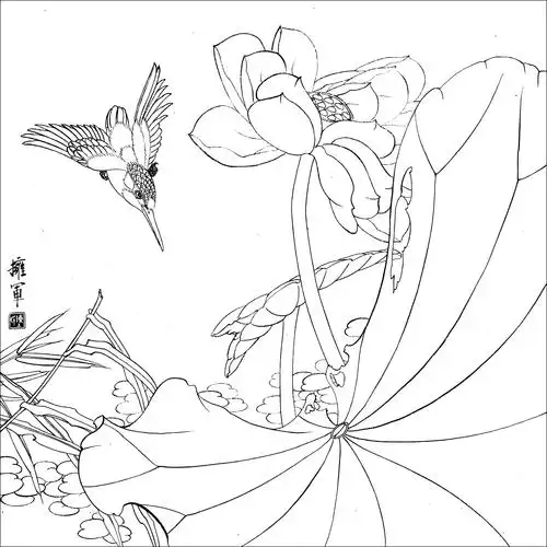 工笔花鸟白描难得一见的好资料高清晰