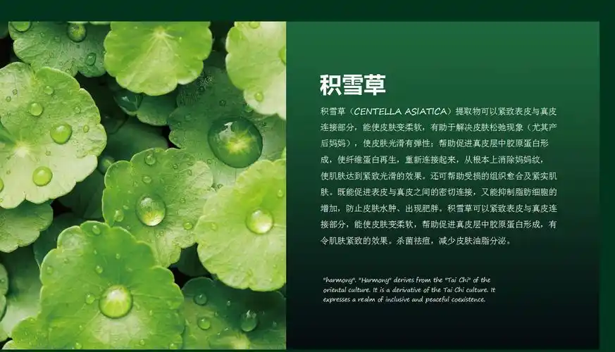 积雪草护肤品的功效与作用都有哪些功效