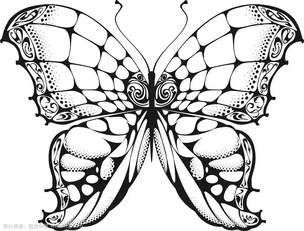 蝴蝶黑白画