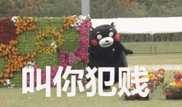 犯贱叫你犯贱熊本熊gif动图_动态图_表情包下载_soogif