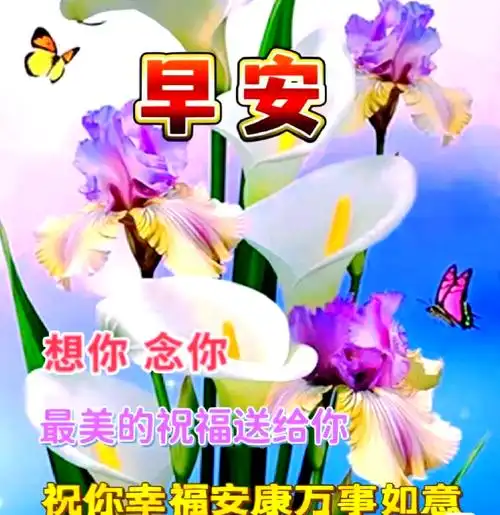 多张温馨的早安动态表情图片,传递快乐与祝福的早上好动画表情