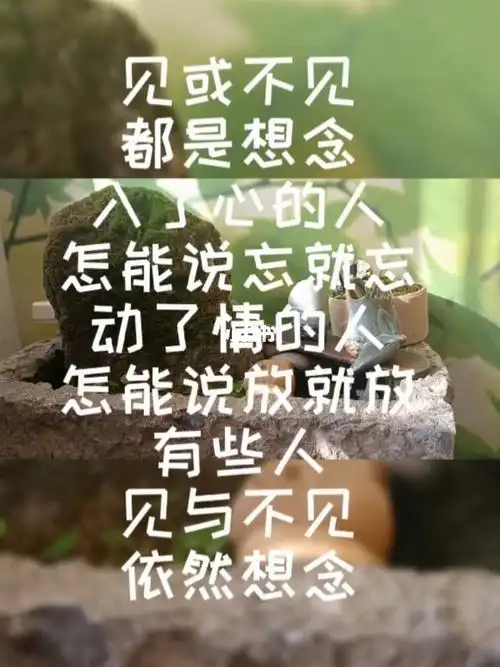 见与不见依然想念