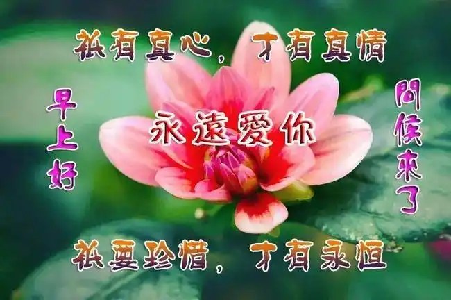 洒脱,是人生最美的心境.早安|爱情|好心情|我爱你|明月_网易订阅