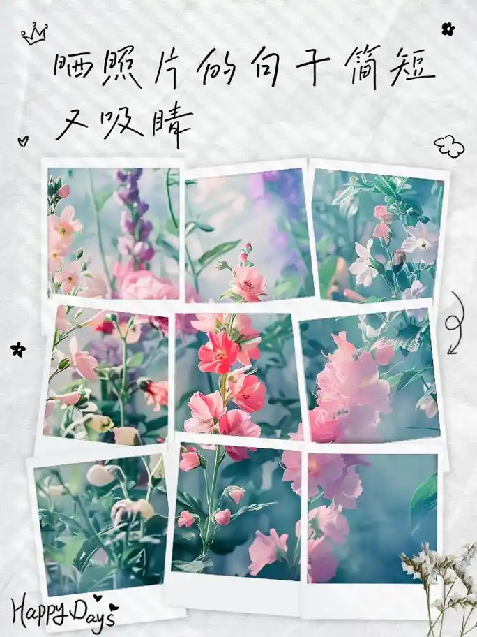 晒照片的句子简短又吸睛 1,记录生活的每一个精彩瞬间,用镜头捕捉美好