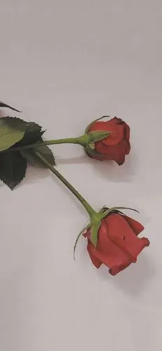 唯美不俗背景图那日的礼物