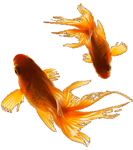 264_298gif 动态图 动图