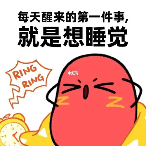 我真的很好奇为什么我从小到大每一天都觉得那么困几乎没有不累不困的