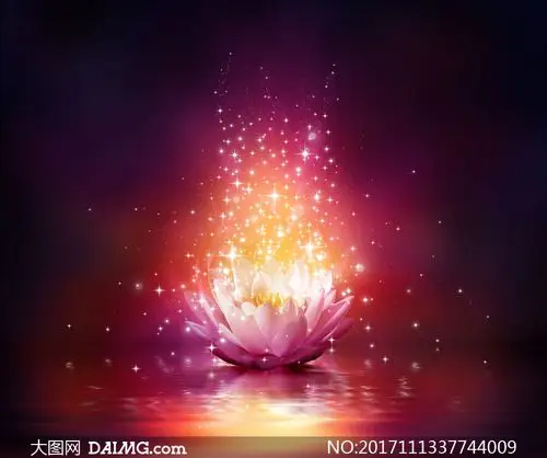 水面上璀璨星光点缀的荷花高清图片