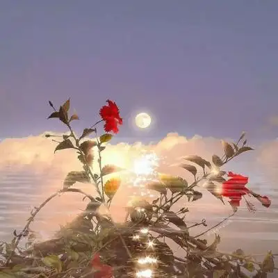 温暖治愈系背景图_唯美图片_我要个性网