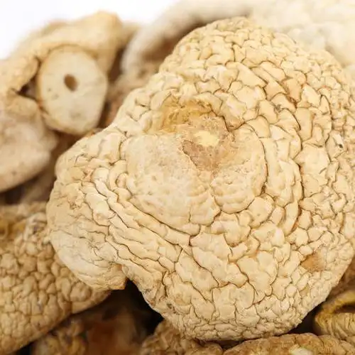 高原石渠白菌100g/罐装 两款包装随机发货 高原良仓