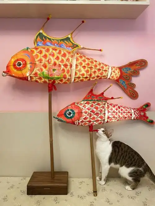 和大家说说纱鱼灯和纸鱼灯的区别