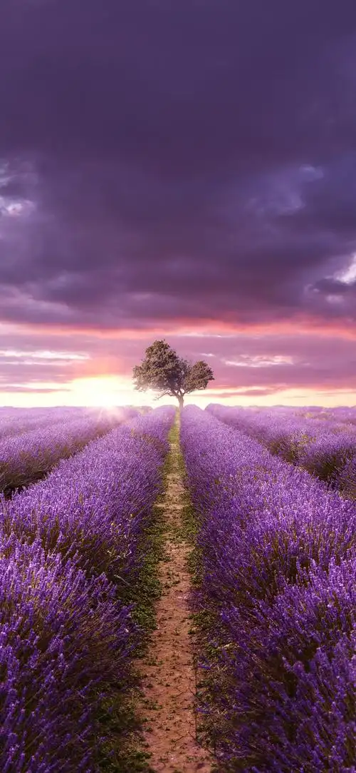 风景壁纸|风景高清壁纸|风光壁纸|日式壁纸|全面屏风景壁纸 100多张