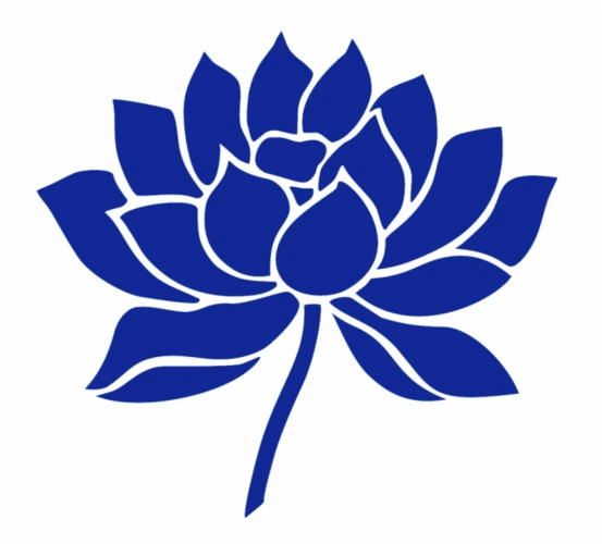 愿清澈如莲,愿自由如风,愿爱如少年!