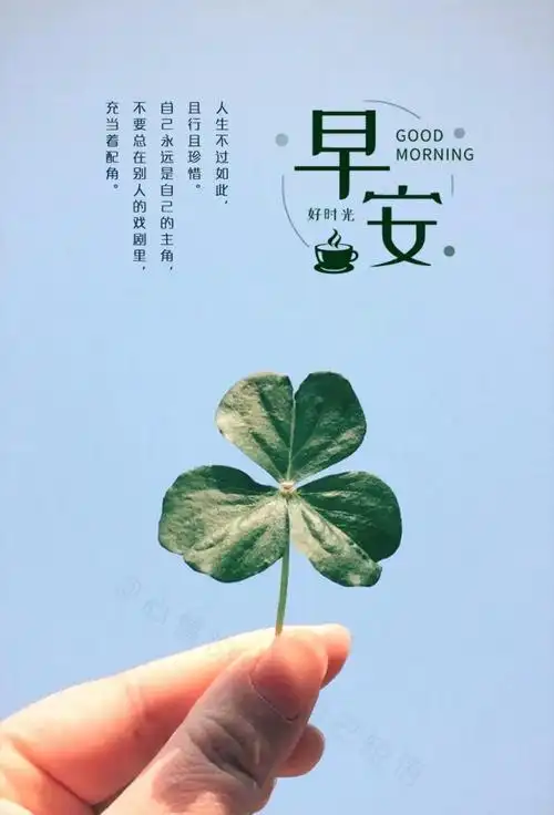 早安心语正能量励志唯美句子