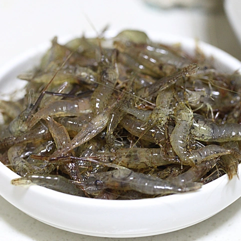 湖北丹江口生态养殖水产品 野生优质无污染青虾 小河虾