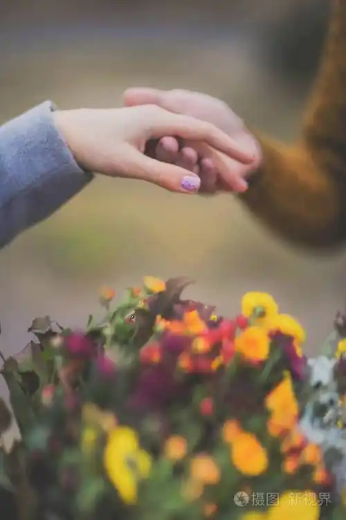 特写肖像的夫妇的手彼此爱着对方在柔软温暖c