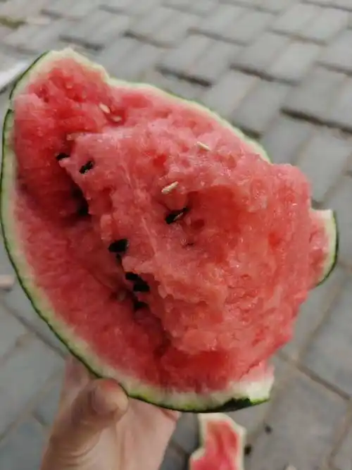 我刚发布了新供应信息[l600西瓜 预售!