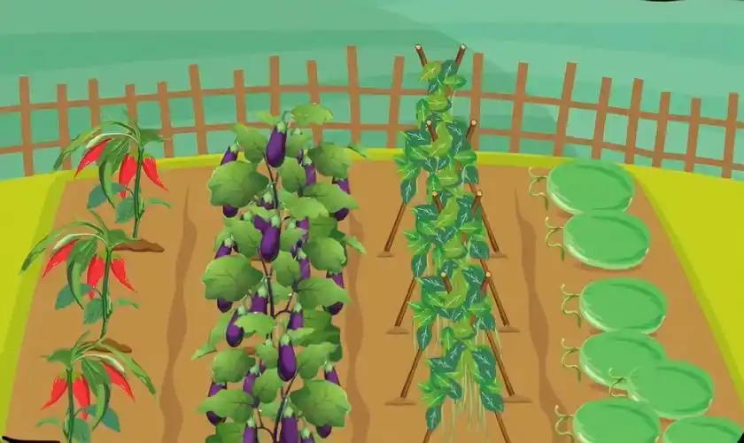 卡通房屋和菜地矢量素材图片人教版小学一年级语文上册菜园里.pptx