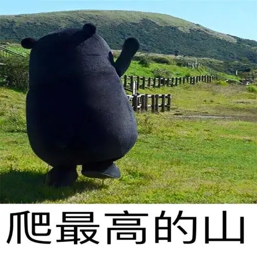 熊本熊的人生 - 斗图表情包 - 斗图神器 - adoutu.com