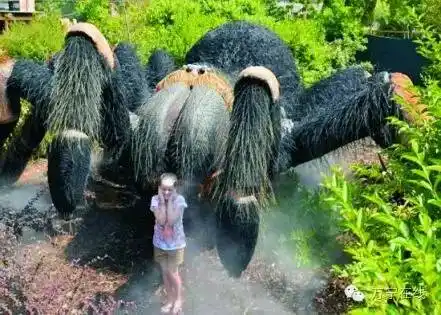 卧槽屌爆了万宁巨型昆虫王国门票免费送送送啦哇哇哇