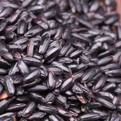 大姐农庄5斤装东北吉林黑米农家杂粮黑香米无染色黑大米2.5kg